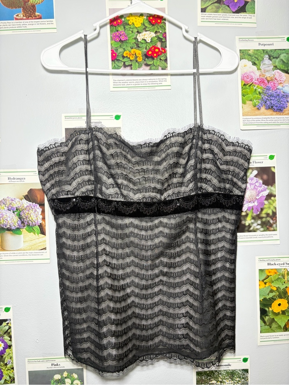Ann Taylor Black Lace Camisole Tank Top